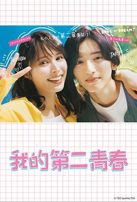 兰州网站优化成功案例